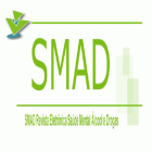 SMAD. REVISTA ELETRÔNICA SAÚDE MENTAL ÁLCOOL E DROGAS