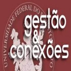 REVISTA GESTÃO & CONEXÕES