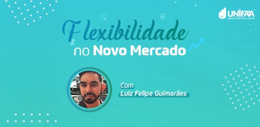 Flexibilidade no Novo Mercado